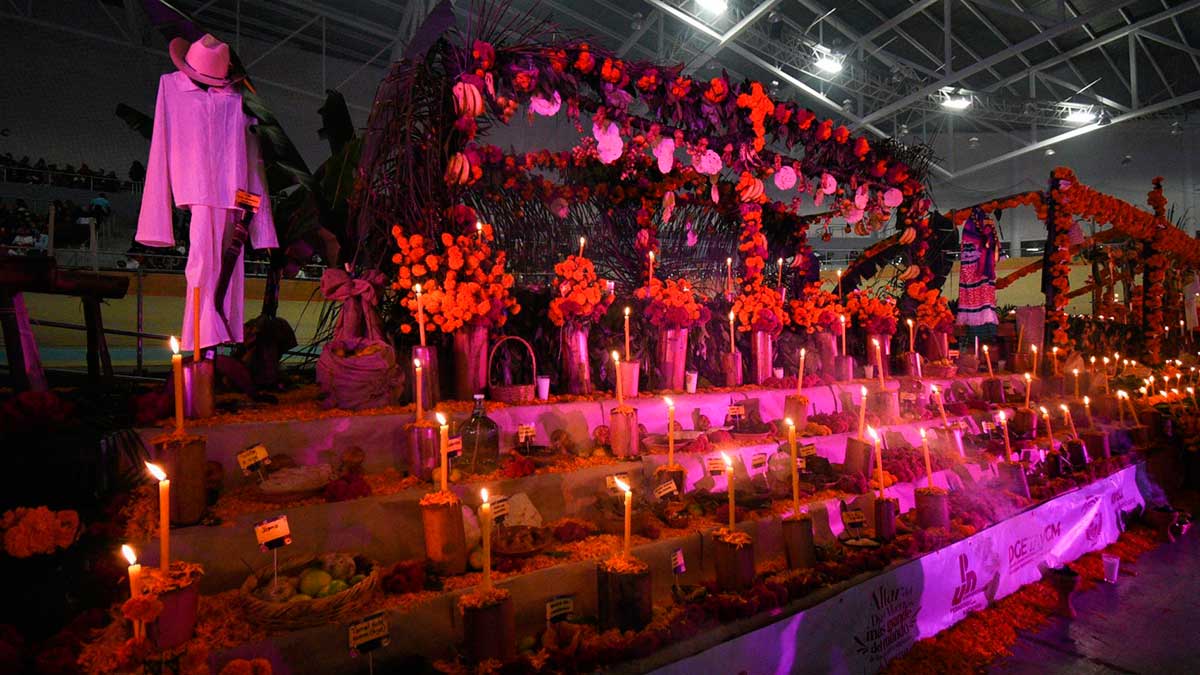¡Lleno de color y tradición! Xalapa, Veracruz, coloca el altar más grande del mundo y rompe récord