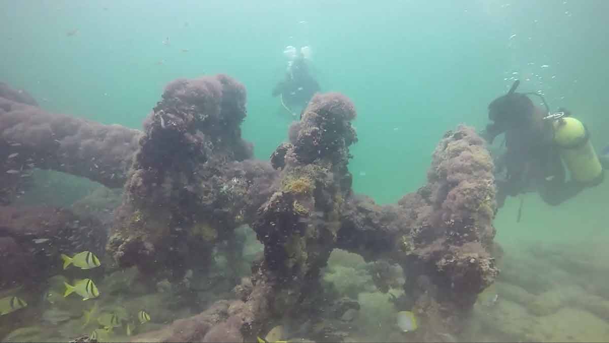 Barco hundido en Sisal: Patrimonio subacuático y atractivo turístico en Yucatán