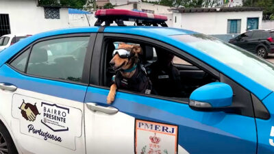 Cabo Oliveira: perro policía más famoso de Río de Janeiro Brasil