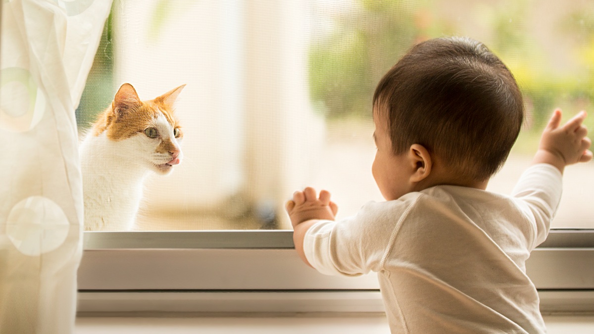 ¡Supermichi!: gatito cuida a bebé para que no se asome a balcón
