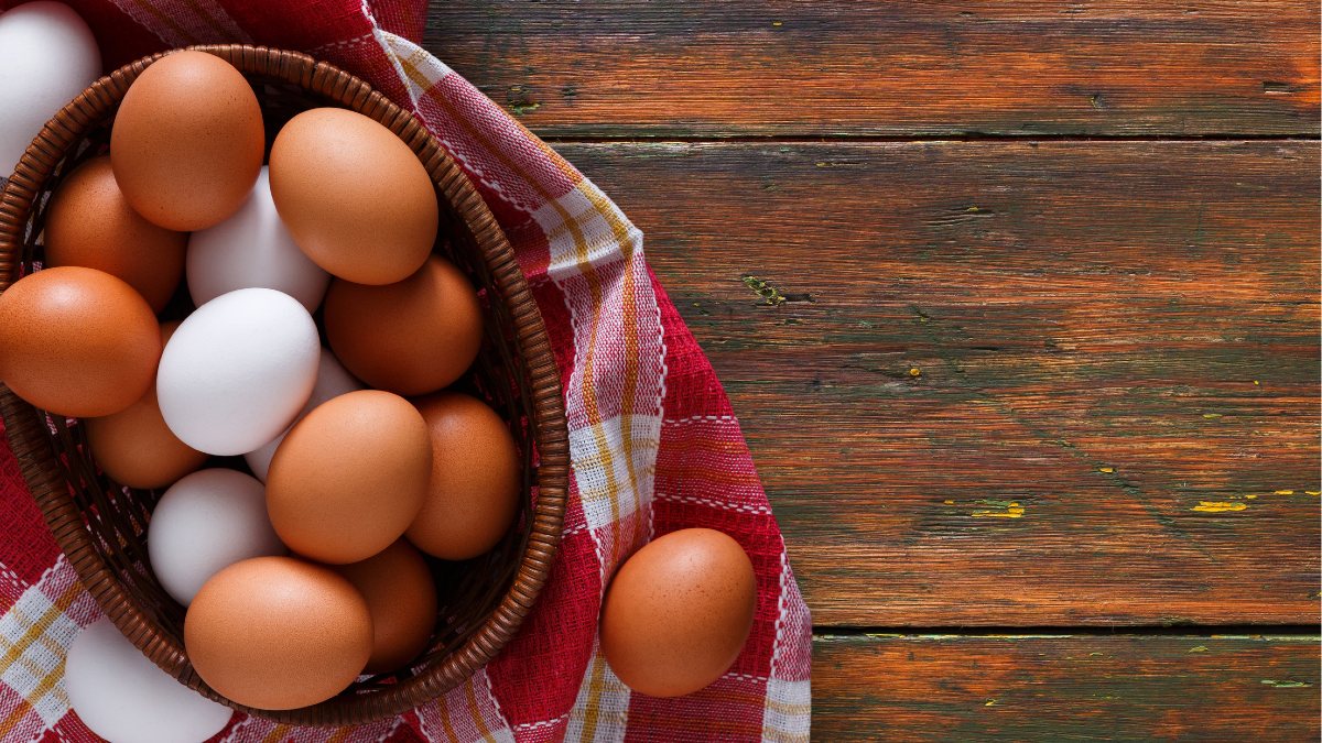 A thicker, more nutritious shell, it claims to be around white and red eggs, is an important food in the diet.