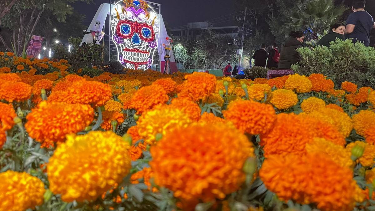 Imágenes: presumen megaofrenda de Día de Muertos en Ecatepec con más de 26 mil plantas de cempasúchil