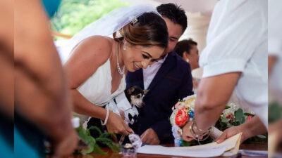 Yucatán: Hércules, el perro que fue testigo en boda civil de Mérida