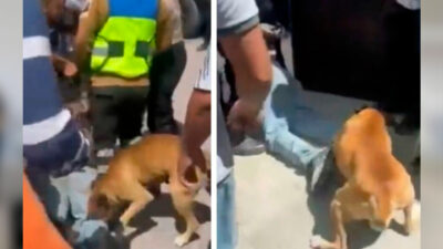 Puebla: golpean a ladrón; incluso un perro le da lo suyo