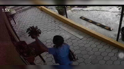 Tamaulipas: nace lady rata de flores, se hizo viral por robarlas de restaurante