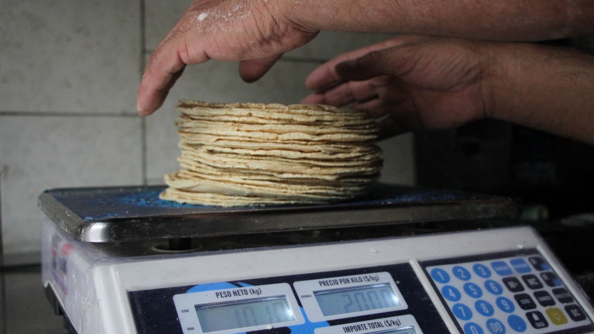 Tortilla podría aumentar en febrero de 2023; se vendería en 24 pesos