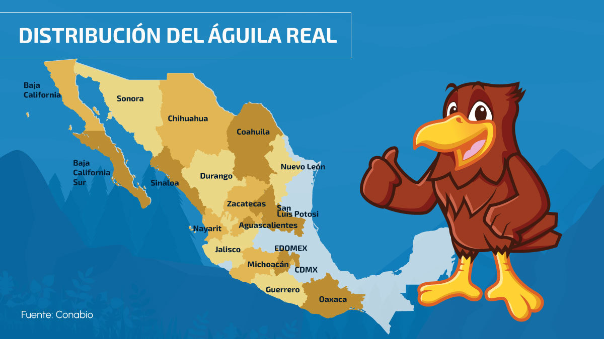 Águila real, especie emblemática y amenazada en México