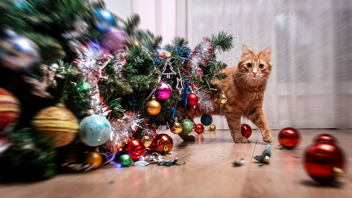 Tips para que tu gato no destruya tu árbol de Navidad