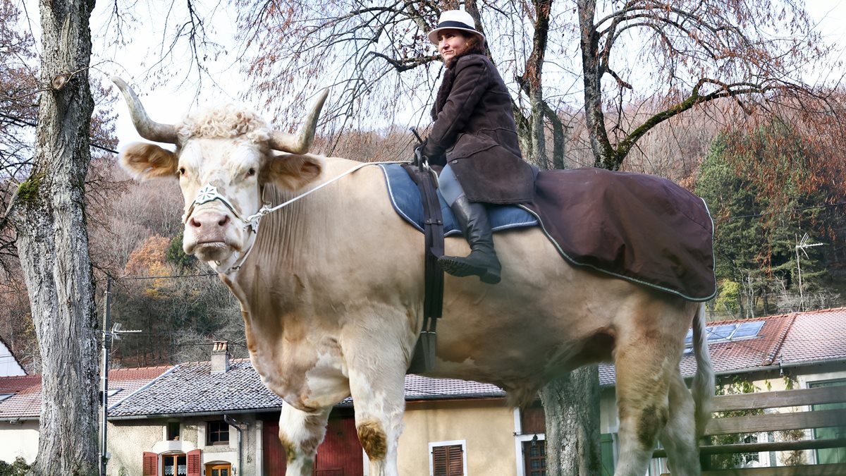 Mujer francesa y su toro se vuelven famosos en redes por pasear como si fuera un caballo
