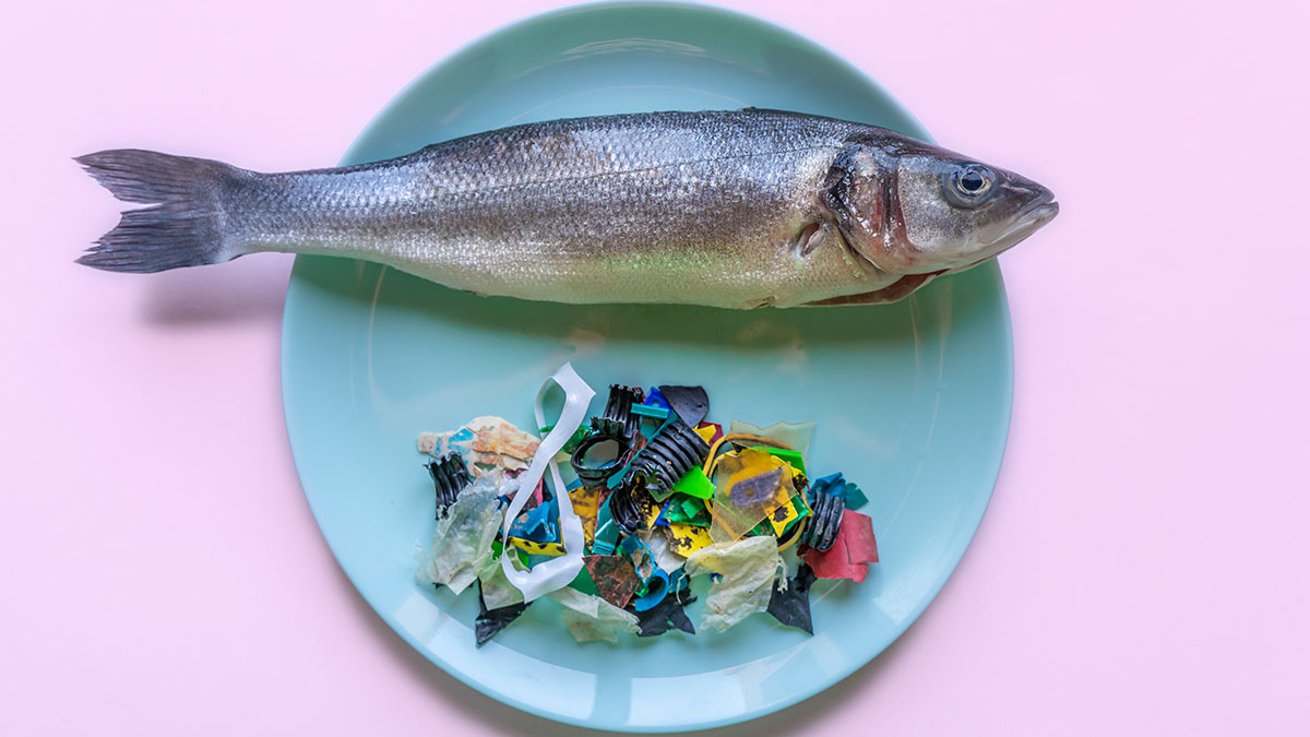 ¿Cuánto plástico comes en la cena de Navidad y cómo evitarlo?         