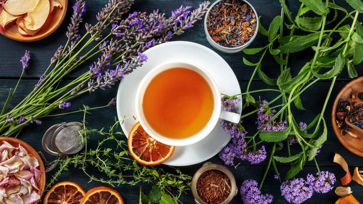 ¿Qué tipos de té son buenos para la salud?, estos son los mejores, según Harvard