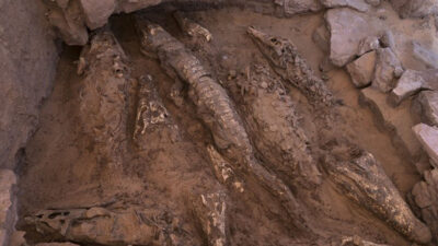 Localizan restos de cocodrilos momificados en tumba egipcia