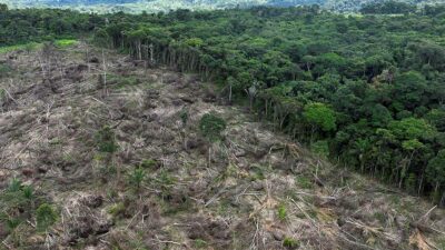 Deforestacion Amazonas