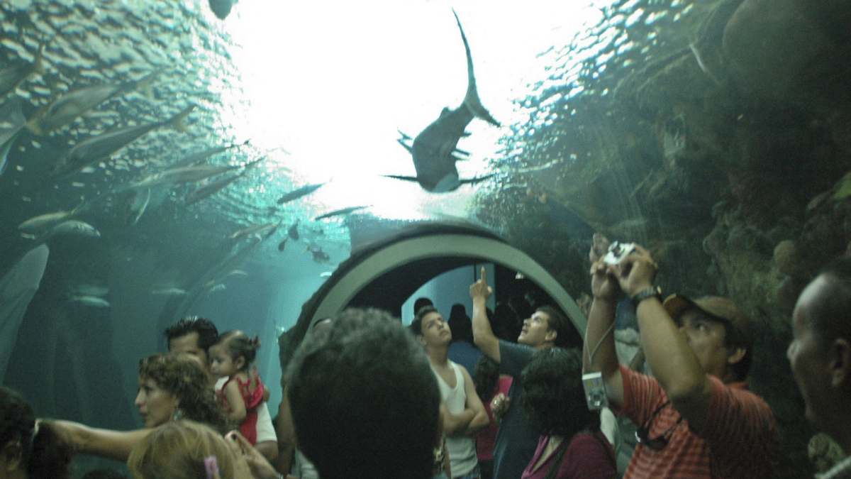 Acuario de Veracruz