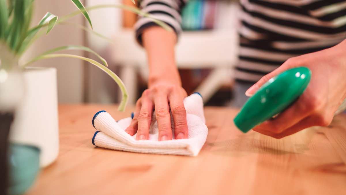 Influencers Cleaning Tips For The House