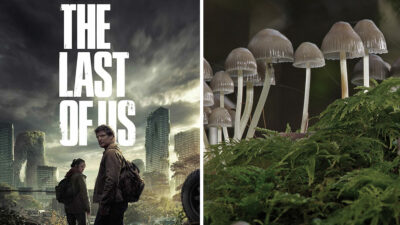 ¿Es posible una pandemia como la de "The Last of Us"?