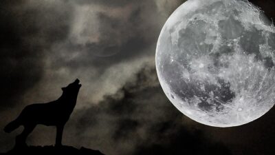 Luna de lobo: cómo verla este 6 de enero de 2023
