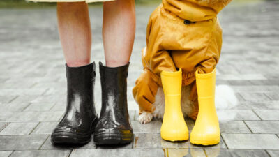Mascotas: Cómo protegerlas ante una emergencia