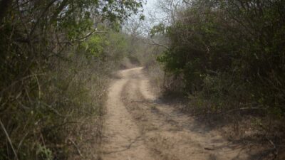 Zitácuaro, Michoacán: localizan 3 fosas clandestinas en Loma Larga