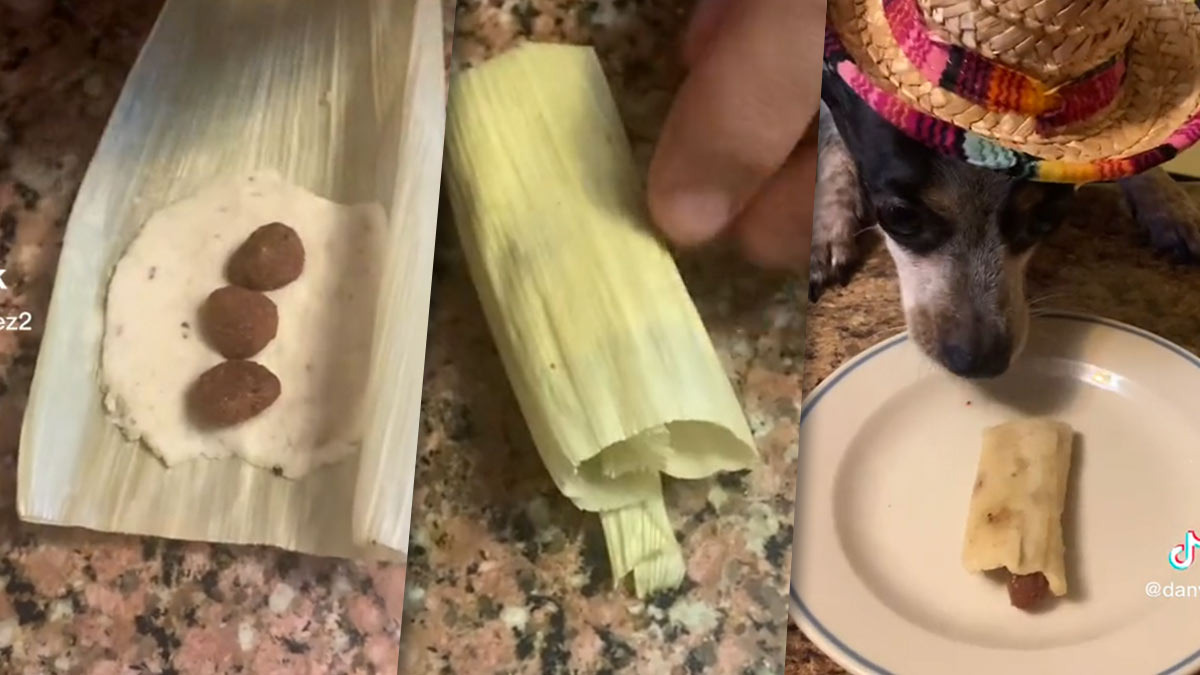 Tamales for Dogs