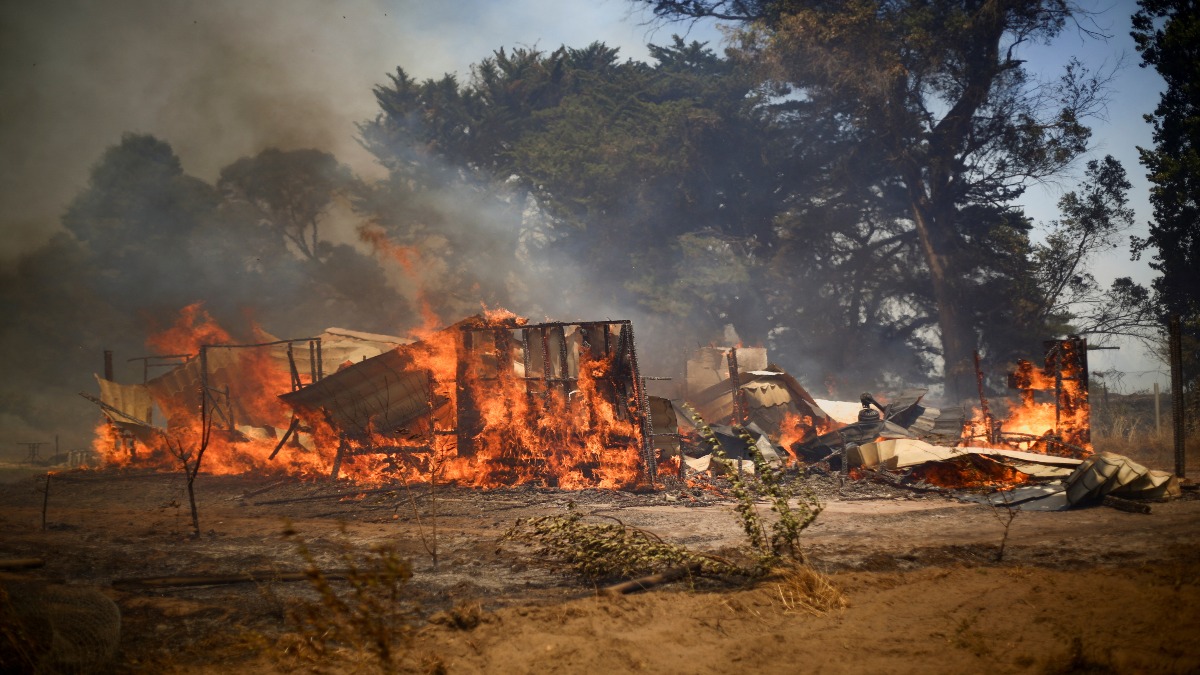 Chile activa alerta roja por incendios forestales por ola de calor