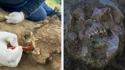 Craneos y esqueletos encontrados en Tamaulipas