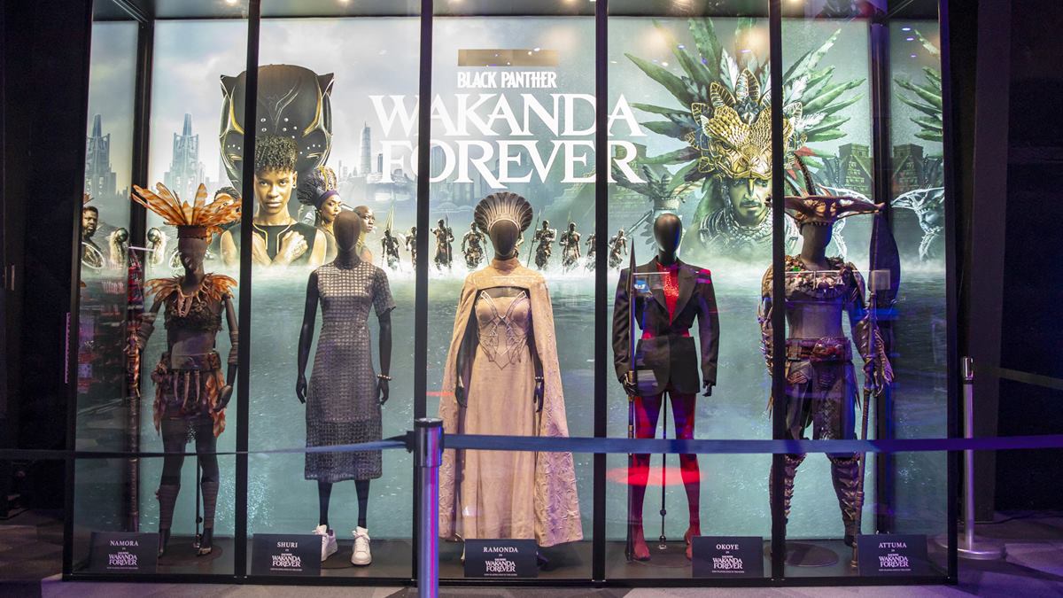Black Panther Wakanda Forever Queen Costumes And Characters