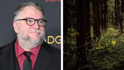 Guillermo del Toro: nombran a luciérnaga en honor del director