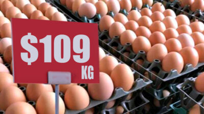 Precio en kilo de huevo