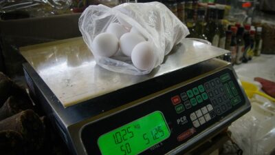 Precio del huevo bolsa con kilo de huevo pesada en una báscula