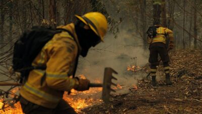 En Chile, incendios cobran la vida de 22 personas
