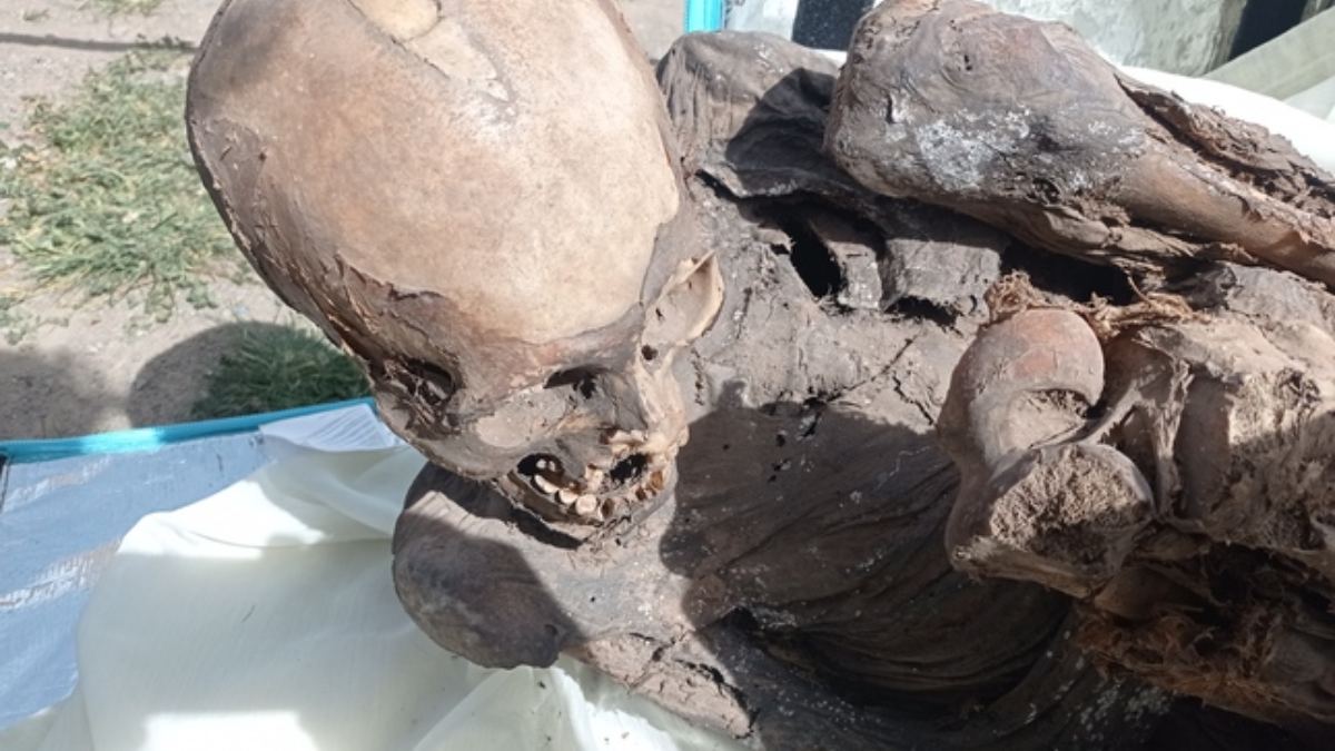 La momia de más de 600 años de antiguedad