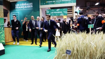 El presidente de Francia, Emmanuel Macron, en Feria de la Agricultura en París