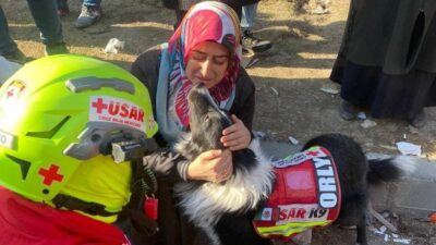 Terremoto Turquía: ¿qué hacen los perros rescatistas de México?