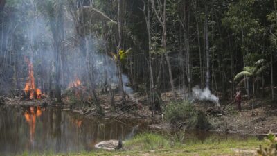Deforestación en Amazonia de Brasil alcanza niveles récord en febrero