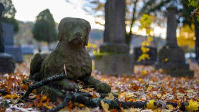 Cementerios de mascotas: Conoce los más famosos del mundo