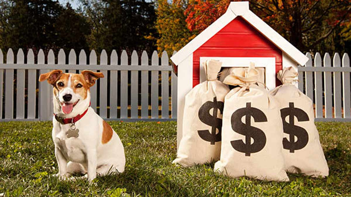 El Dinero Que Gastan Los Mexicanos En Sus Mascotas