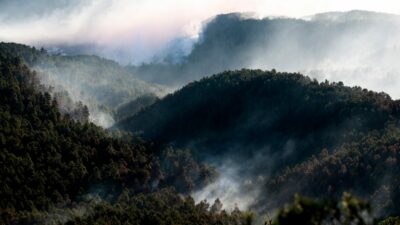 Incendio de grandes magnitudes y humo en bosque de España