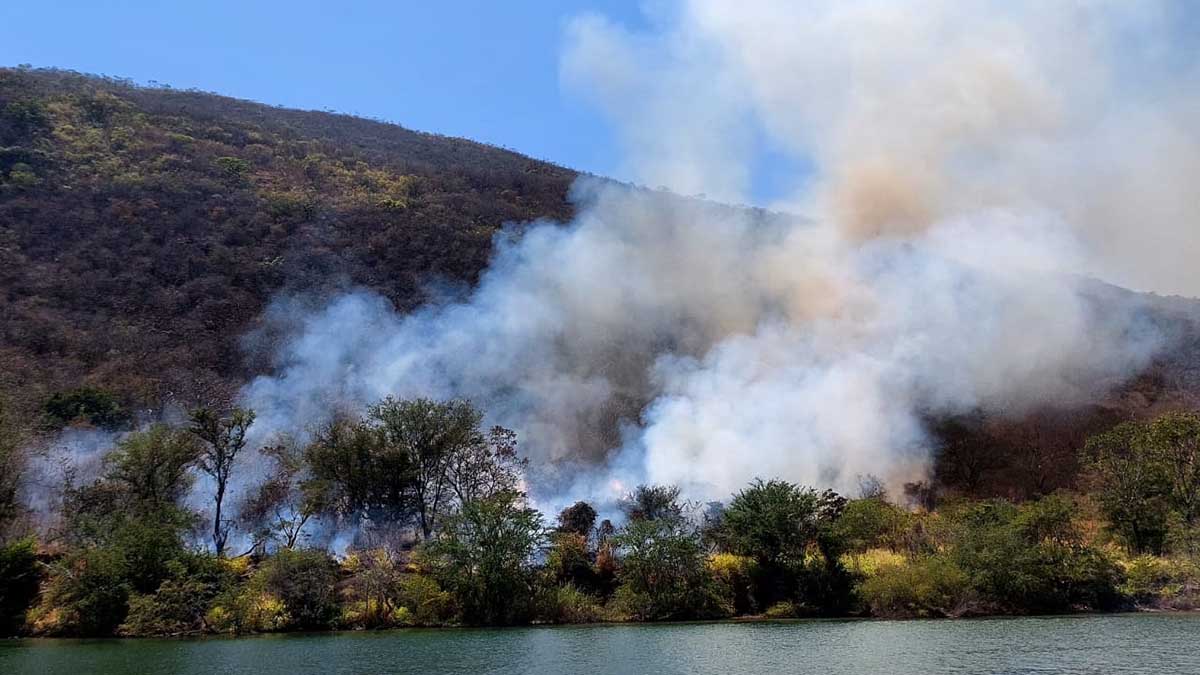 Chiapas Incendios Forestales