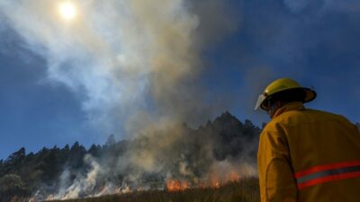 Incendio forestal atendido por bomberos