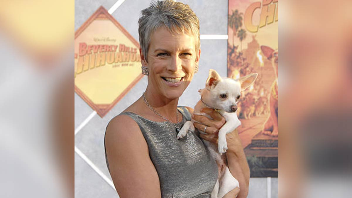 Jamie Lee Curtis asiste con su perrito adoptado a los Premios Oscar 2023