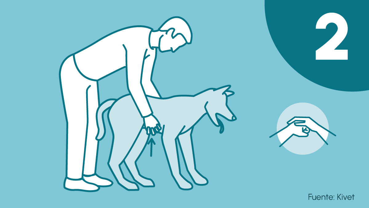 La maniobra de Heimlich es importante en mascotas