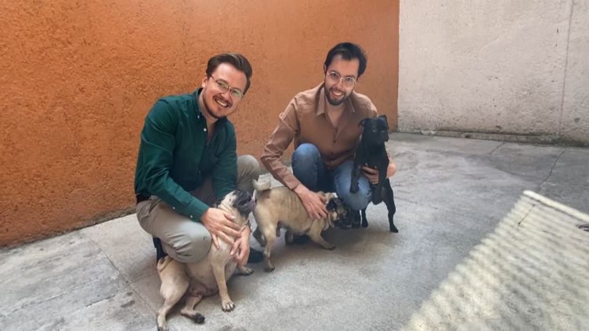 Dos pugs habían sido embargados.