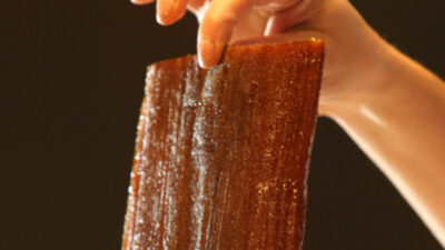 Qué es el yacaratiá, la única madera comestible del mundo