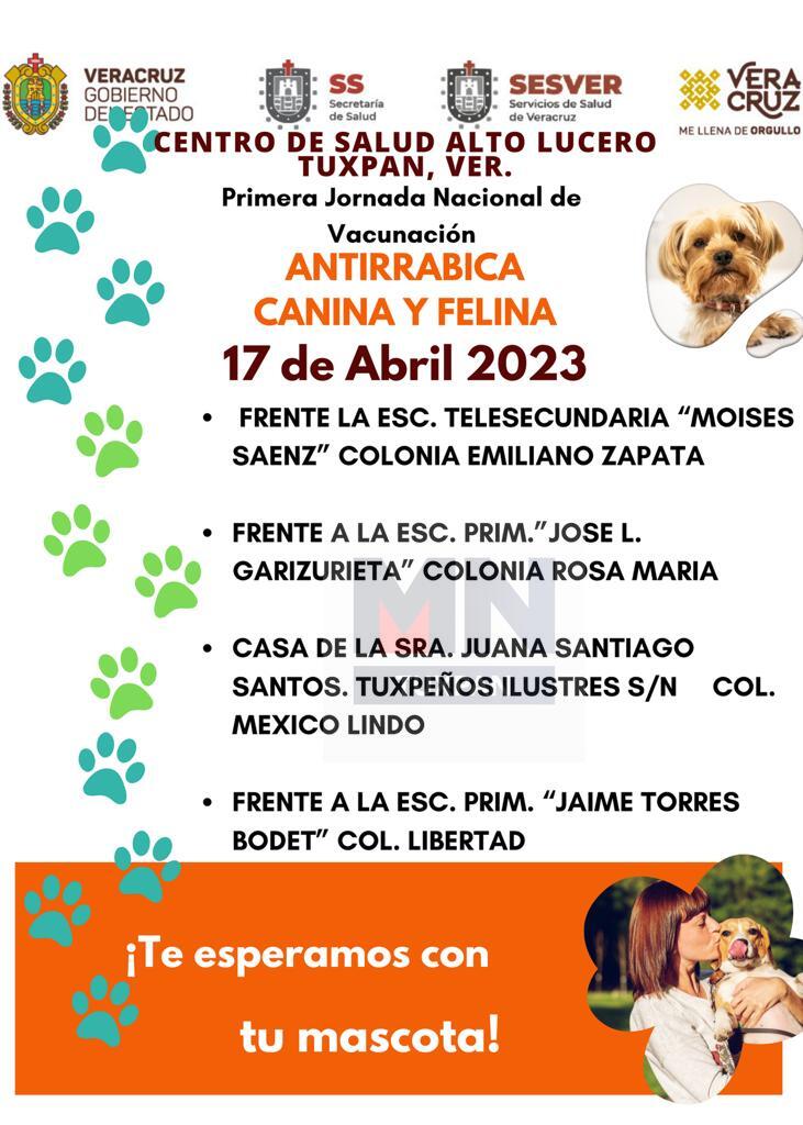 ¿Dónde se aplica gratis la vacuna contra la rabia para perros en México?