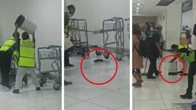 Una rata que deambulaba en pasillos del AICM provocó un ambiente de pánico y risas cuando trabajadores intentaron atraparla