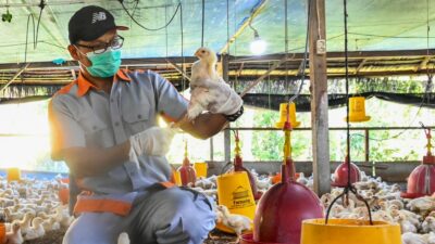 Gripe Aviar H1n8 Muerte Humana China