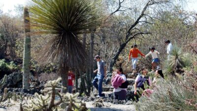 jardines botanicos en mexico turismo para todos