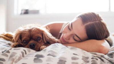 Los perros son mejores compañeros para dormir que una pareja