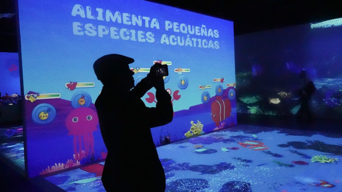 Que Hacer En El Acuario Virtual Del Barco Utopia En Iztapalapa